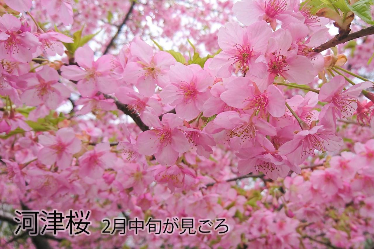 伊豆稲取テラス-寛道- Villa Shimoda  Ngoại thất bức ảnh